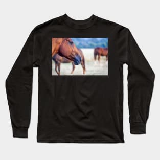 Mysteries of the equine mind Long Sleeve T-Shirt